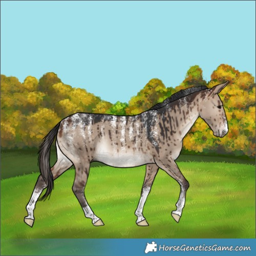 Horse Color:Powder White Brown Dun Rabicano Brindle 