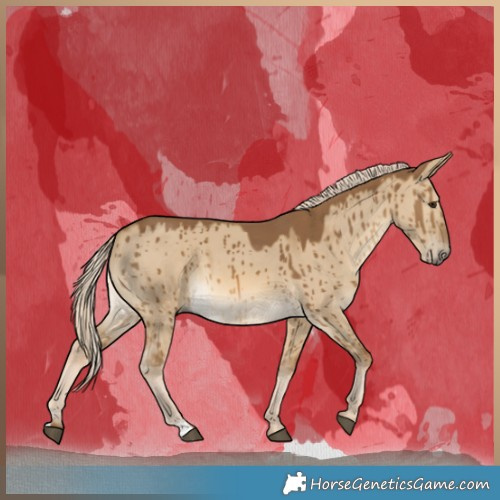 Horse Color:Chocolate Palomino Dun Brindle 