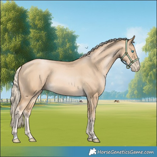 Horse Color:Palomino Pearl