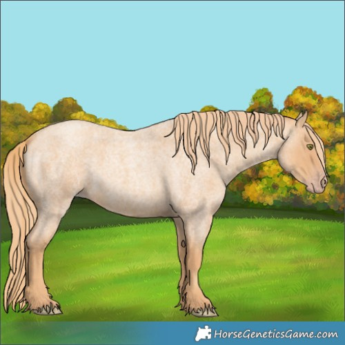 Horse Color:Gold Champagne Roan 
