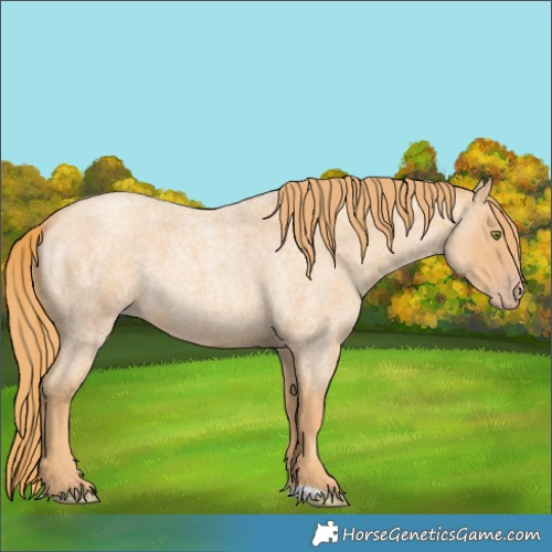 Horse Color:Gold Champagne Roan 