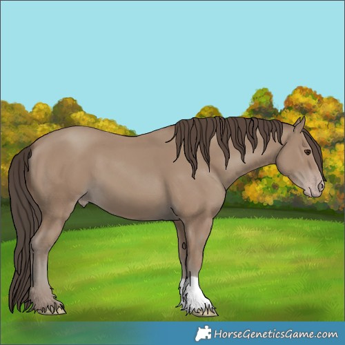 Horse Color:Classic Champagne 
