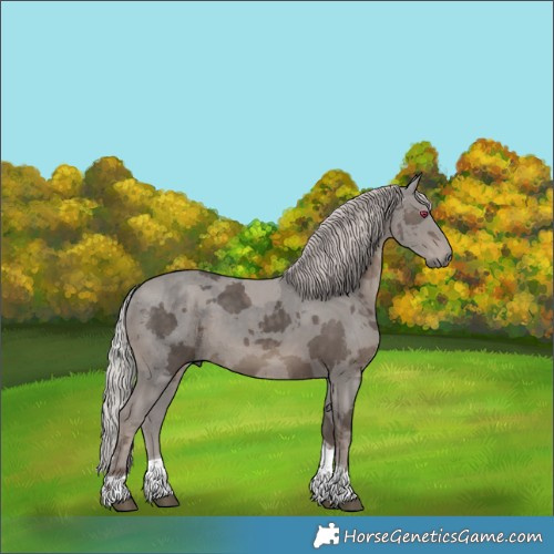 Horse Color:Silver Black Merle Tobiano 
