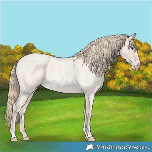 Horse Color:Smoky Creme Roan 