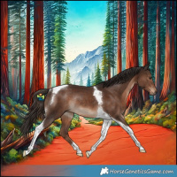 Horse Color:Liver Chestnut Tobiano Rabicano 