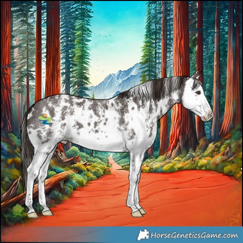 Horse Color:White Spotted Liver Chestnut Sabino Splash 