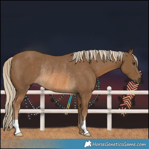Horse Color:Chocolate Palomino Rabicano 