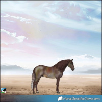 Horse Color:Chocolate Buckskin Rabicano 
