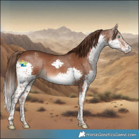 Horse Color:Liver Chestnut Splash Varnish