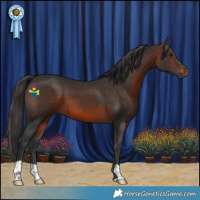 Horse Color:Brown 