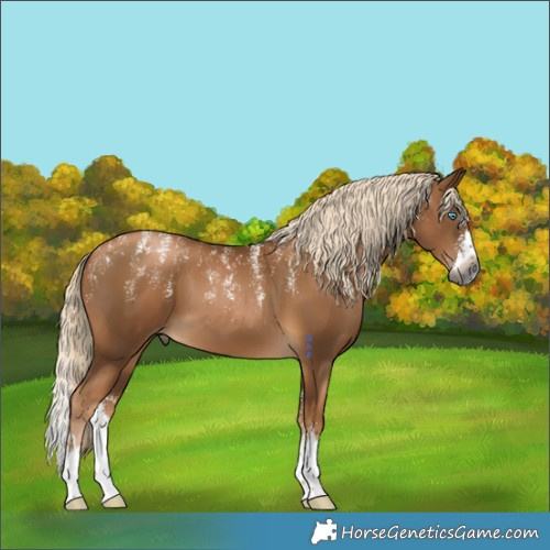 Horse Color:Powder White Gray Chocolate Palomino Splash 