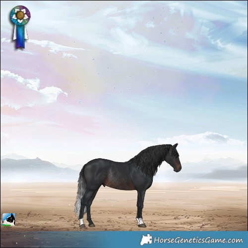 Horse Color:Brown Mushroom Rabicano 
