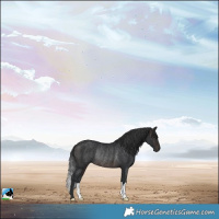 Horse Color:Brown Mushroom Rabicano