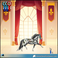 Horse Color:Black Splash Skewed LP Spotted