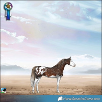 Horse Color:Liver Chestnut Splash Blanket