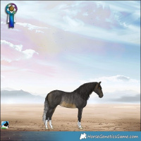 Horse Color:Buckskin Mushroom Rabicano