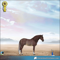 Horse Color:Chocolate Buckskin Mushroom Rabicano 
