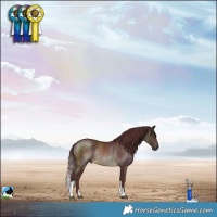 Horse Color:Chocolate Buckskin Mushroom Rabicano