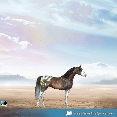 Horse Color:Brown Splash Blanket 