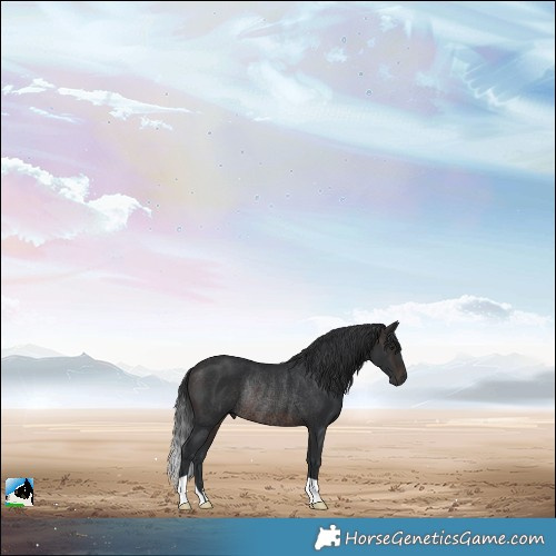Horse Color:Brown Mushroom Rabicano