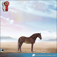 Horse Color:Chocolate Buckskin Mushroom Rabicano 
