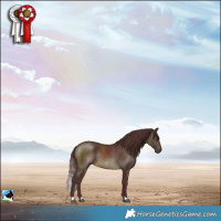 Horse Color:Chocolate Buckskin Mushroom Rabicano