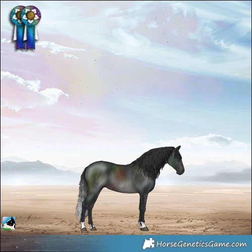 Horse Color:Brown Mushroom Rabicano 