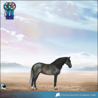 Horse Color:Brown Mushroom Rabicano