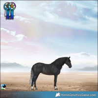 Horse Color:Brown Mushroom Rabicano 