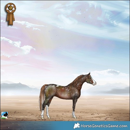 Horse Color:Liver Chestnut Splash Skewed LP Spotted 