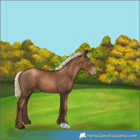 Horse Color:Gray Liver Chestnut Pearl Mushroom 