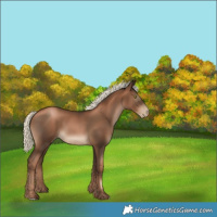 Horse Color:Gray Liver Chestnut Pearl Mushroom