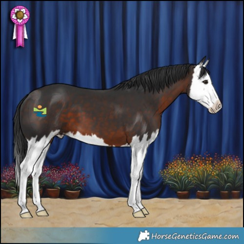 Horse Color:Brown Mushroom Splash 