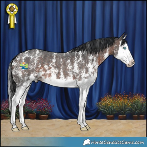 Horse Color:Brown Mushroom Sabino Splash 