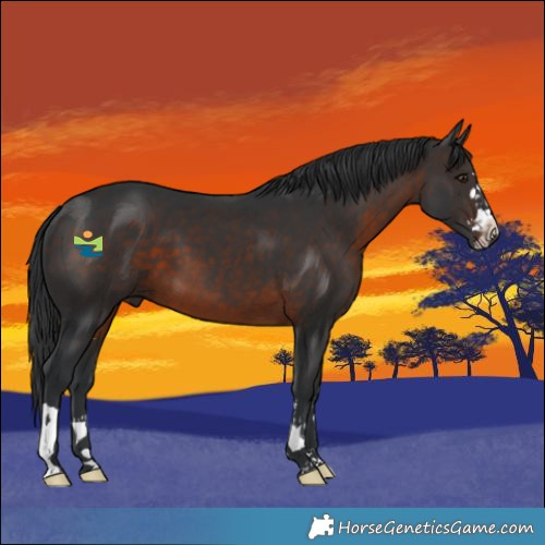 Horse Color:Brown Mushroom 
