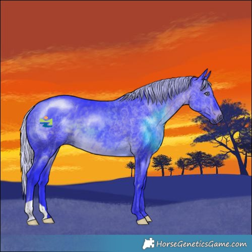 Horse Color:Watercolor Silver Brown Chinchilla