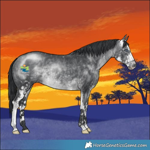Horse Color:Brown Chinchilla Sabino 