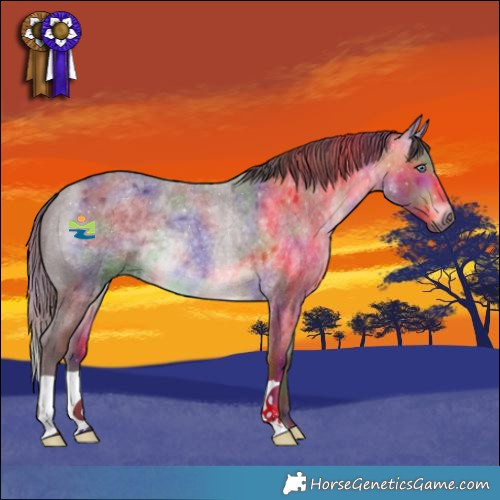 Horse Color:Nacre Chocolate Brown Chinchilla Roan