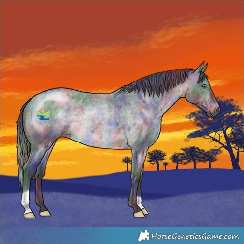 Horse Color:Nacre Brown Chinchilla Roan 
