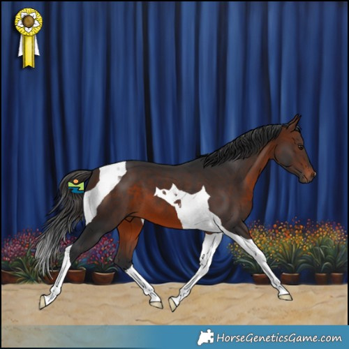 Horse Color:Brown Tobiano