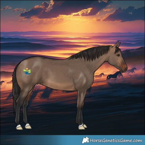 Horse Color:Brown Dun 