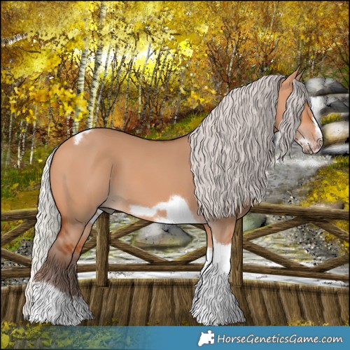 Horse Color:Silver Bay Dun Sabino Tobiano Frame Rabicano 