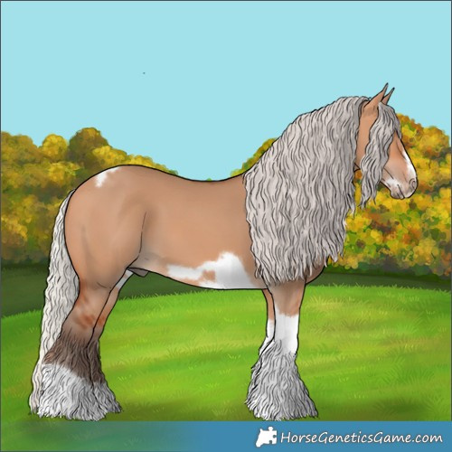 Horse Color:Silver Bay Dun Sabino Tobiano Frame Rabicano 