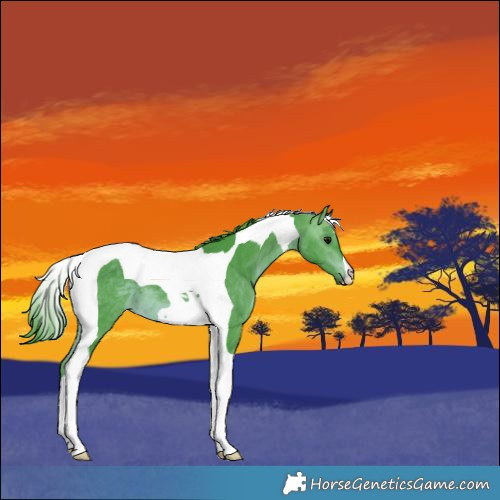 Horse Color:Watercolor Bay Tobiano 