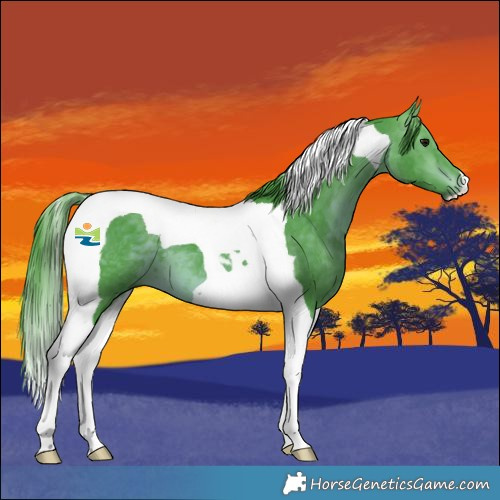 Horse Color:Watercolor Bay Tobiano 