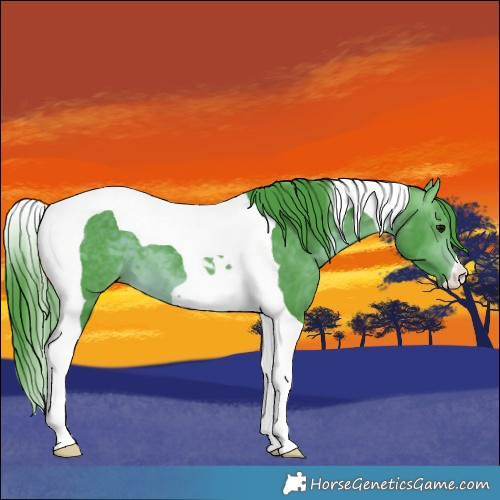 Horse Color:Watercolor Bay Tobiano