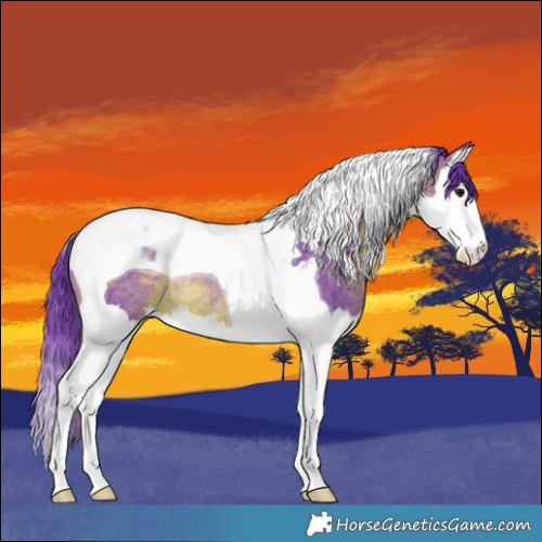 Horse Color:Watercolor Brown Splash Tobiano Rabicano