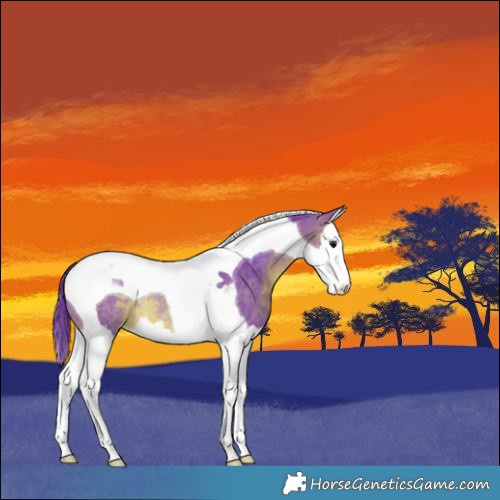Horse Color:Watercolor Brown Splash Tobiano Rabicano 