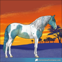 Horse Color:Watercolor Brown Tobiano Rabicano 