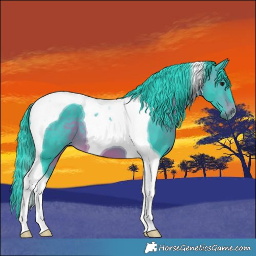 Horse Color:Watercolor Brown Tobiano 
